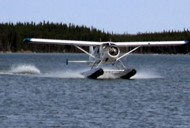 guided fishing trips