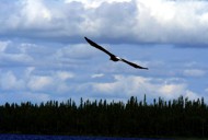 trout fishing trips trout fishing trips